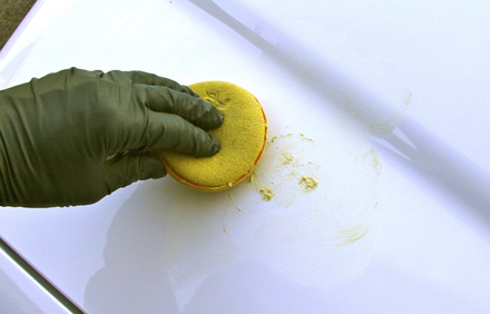Exterior Paint Buffing and Waxing for Professional Results